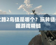求生之路2鳥狙是哪個(gè)？玩轉(zhuǎn)狙擊，掌握游戲精髓