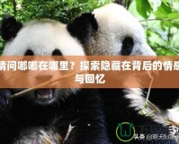 請(qǐng)問(wèn)嘟嘟在哪里？探索隱藏在背后的情感與回憶