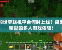 我的世界聯(lián)機平臺何時上線？探索最精彩的多人游戲體驗！