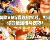 拳皇VS街霸連招視頻，打造你的最強(qiáng)格斗技巧！