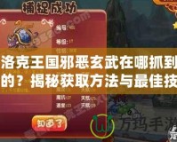 洛克王國邪惡玄武在哪抓到的？揭秘獲取方法與最佳技巧！
