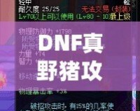 DNF真野豬攻略講解——輕松擊敗野豬王，帶你暢游地下城！