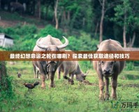最終幻想命運(yùn)之輪在哪刷？探索最佳獲取途徑和技巧