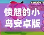 憤怒的小鳥安卓版在哪下載？暢享經(jīng)典游戲，隨時隨地釋放壓力！
