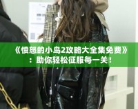 《憤怒的小鳥2攻略大全集免費》：助你輕松征服每一關(guān)！