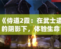 《侍道2霞：在武士道的陰影下，體驗生命與死亡的交織》