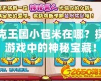 洛克王國小苞米在哪？探秘游戲中的神秘寶藏！