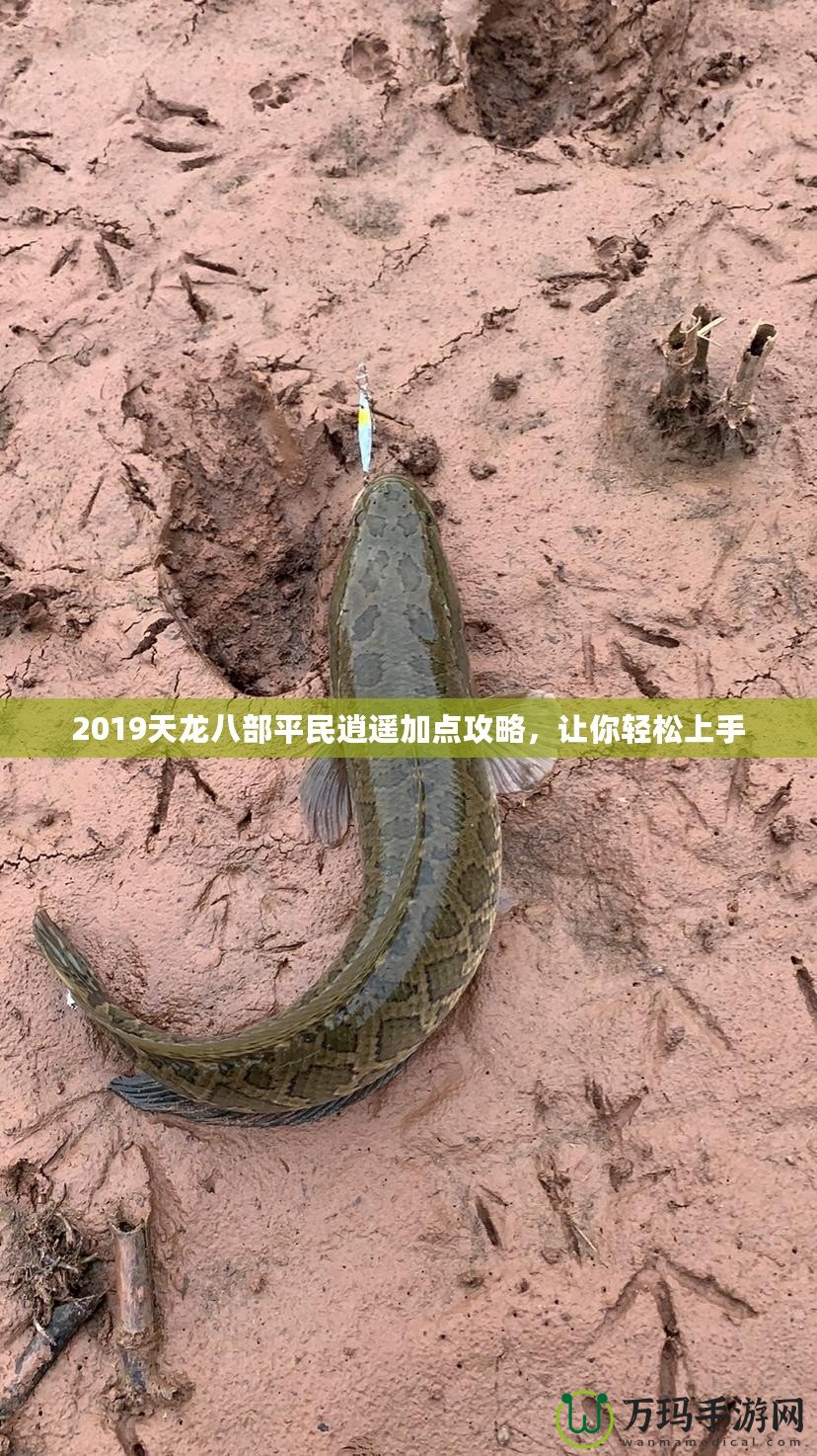 2019天龍八部平民逍遙加點(diǎn)攻略，讓你輕松上手