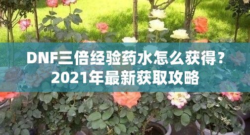 DNF三倍經(jīng)驗(yàn)藥水怎么獲得？2021年最新獲取攻略