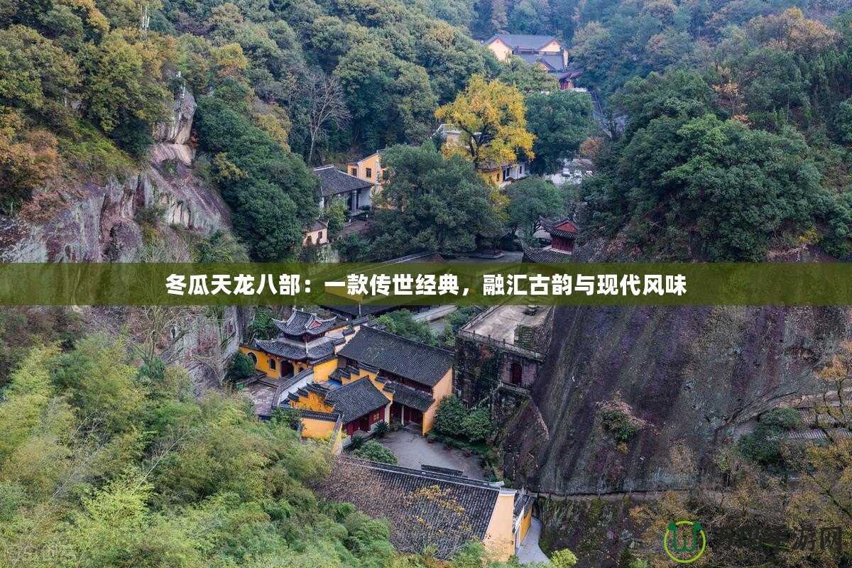 冬瓜天龍八部：一款傳世經(jīng)典，融匯古韻與現(xiàn)代風(fēng)味