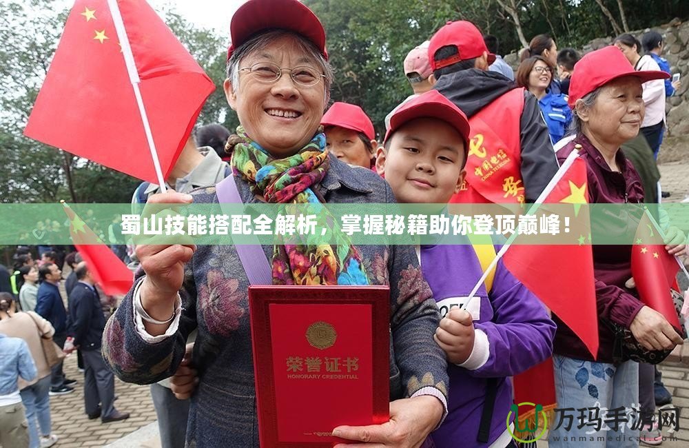 蜀山技能搭配全解析，掌握秘籍助你登頂巔峰！