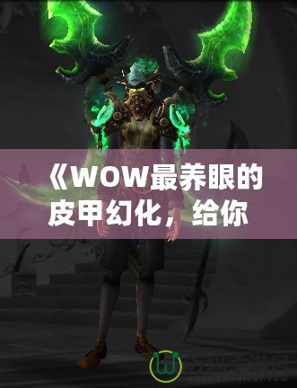 《WOW最養(yǎng)眼的皮甲幻化，給你不一樣的視覺盛宴》