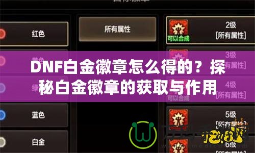 DNF白金徽章怎么得的？探秘白金徽章的獲取與作用
