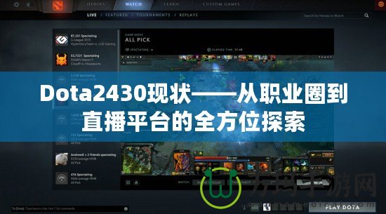 Dota2430現(xiàn)狀——從職業(yè)圈到直播平臺(tái)的全方位探索
