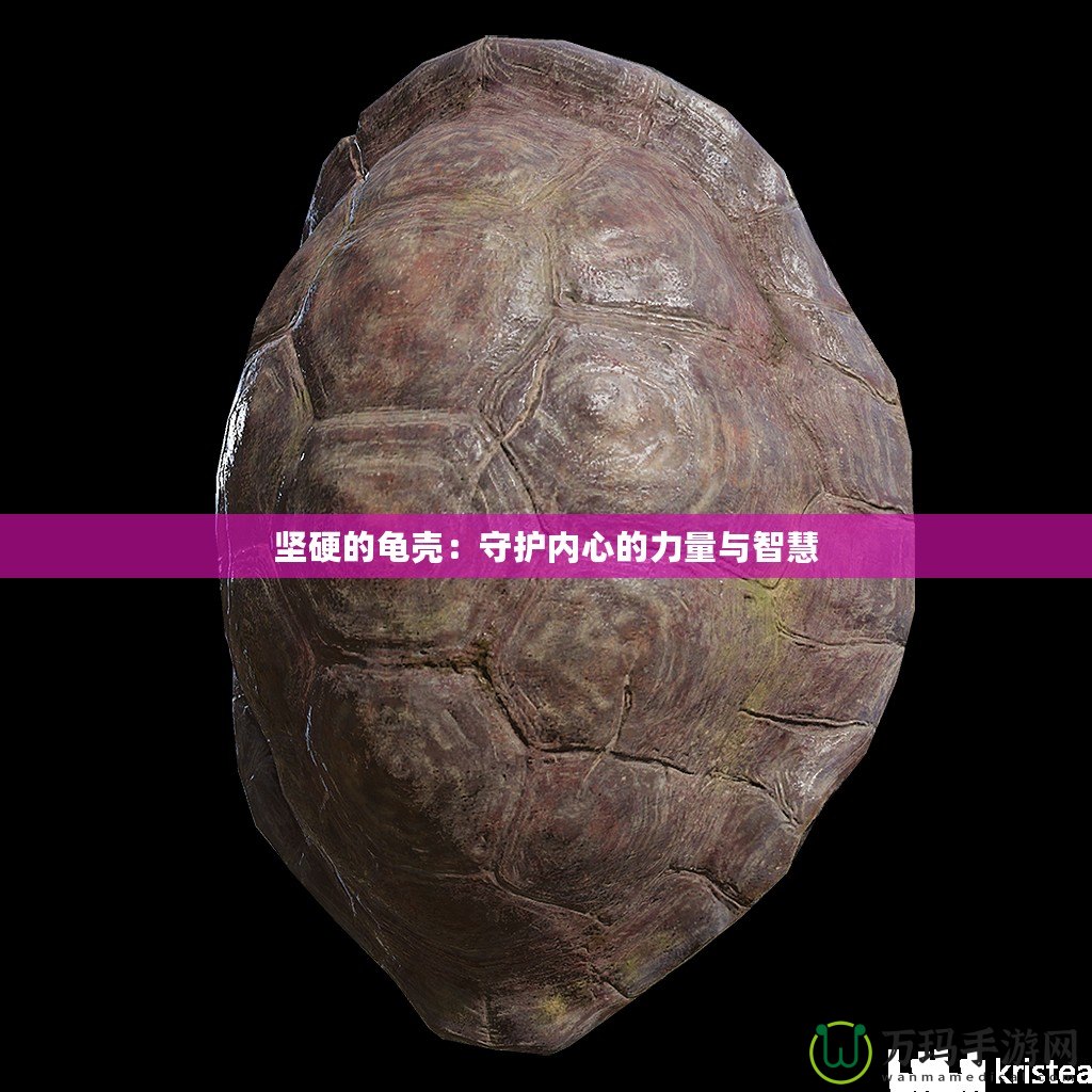 堅硬的龜殼：守護(hù)內(nèi)心的力量與智慧