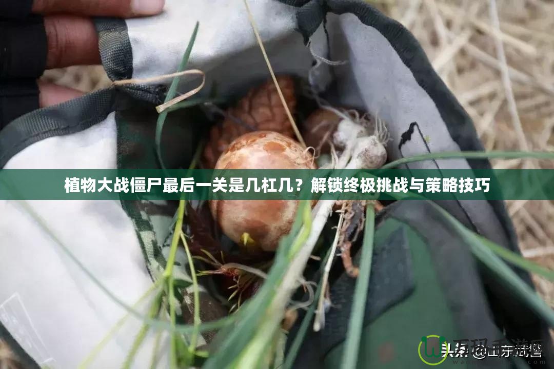 植物大戰(zhàn)僵尸最后一關(guān)是幾杠幾？解鎖終極挑戰(zhàn)與策略技巧