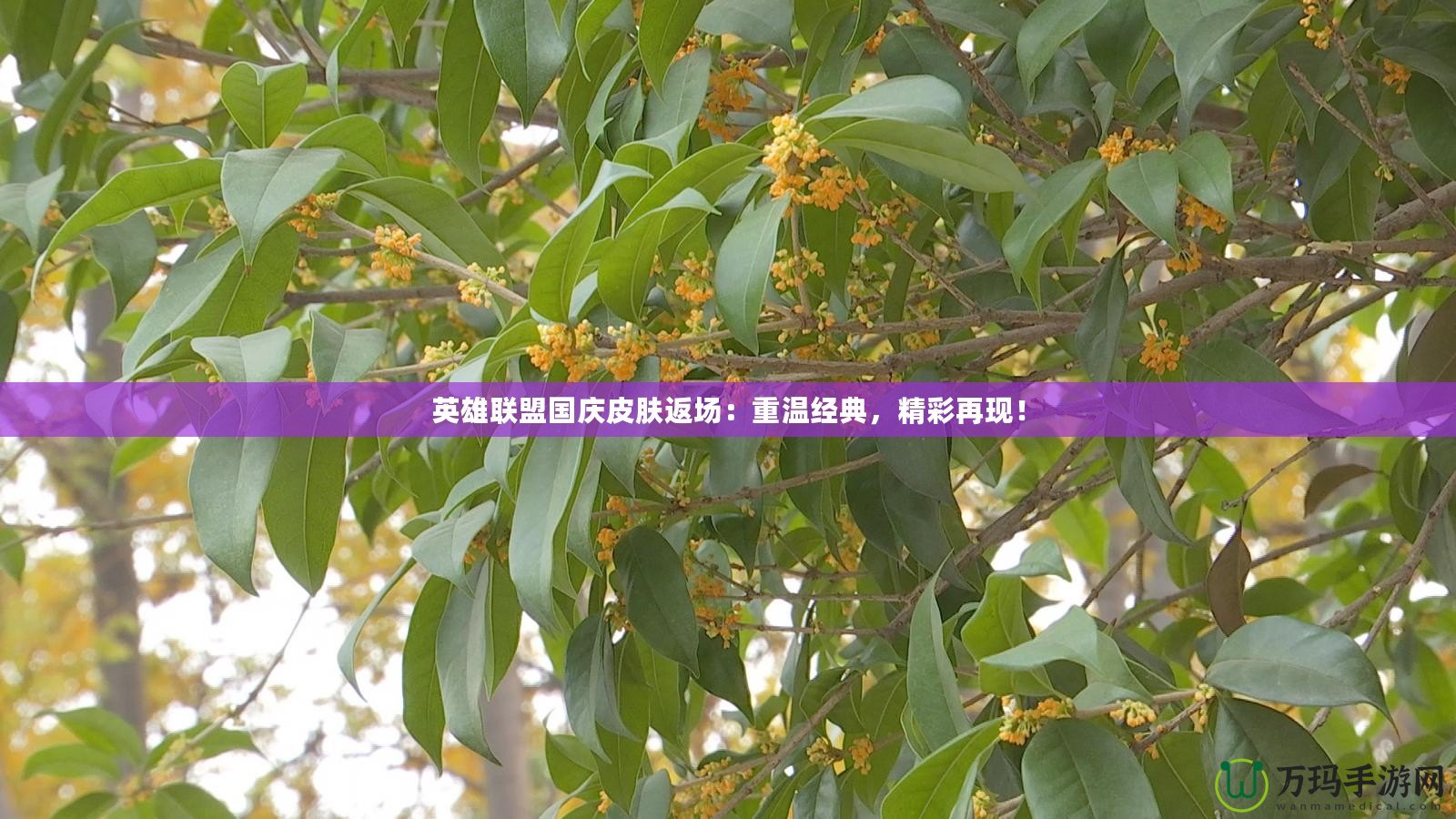 英雄聯(lián)盟國(guó)慶皮膚返場(chǎng)：重溫經(jīng)典，精彩再現(xiàn)！