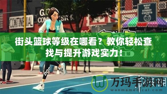 街頭籃球等級在哪看?教你輕松查找與提升游戲?qū)嵙Γ? title=