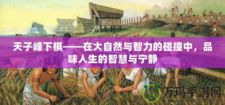 天子峰下棋——在大自然與智力的碰撞中，品味人生的智慧與寧?kù)o