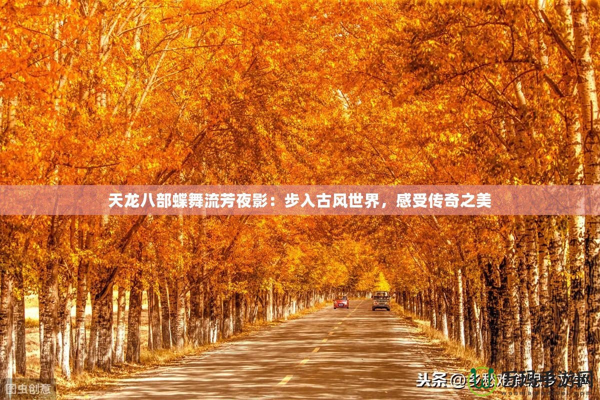 天龍八部蝶舞流芳夜影：步入古風(fēng)世界，感受傳奇之美