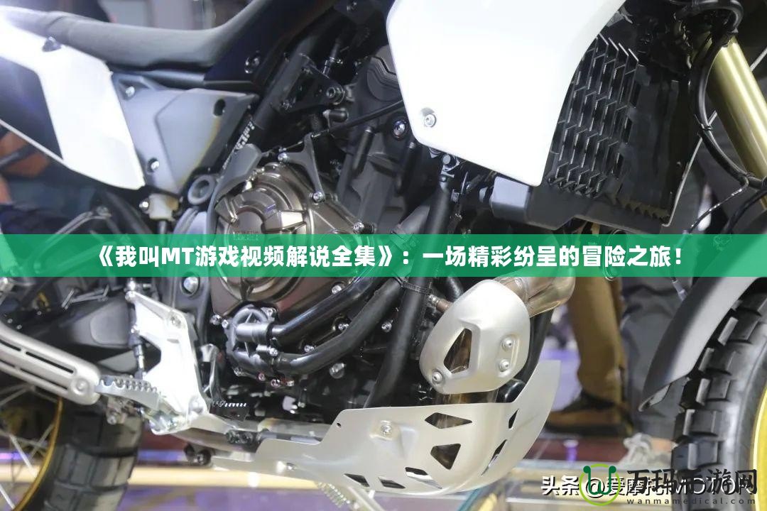 《我叫MT游戲視頻解說全集》：一場精彩紛呈的冒險之旅！