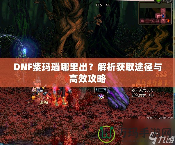 DNF紫瑪瑙哪里出？解析獲取途徑與高效攻略