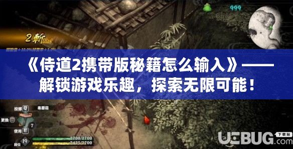 《侍道2攜帶版秘籍怎么輸入》——解鎖游戲樂(lè)趣，探索無(wú)限可能！