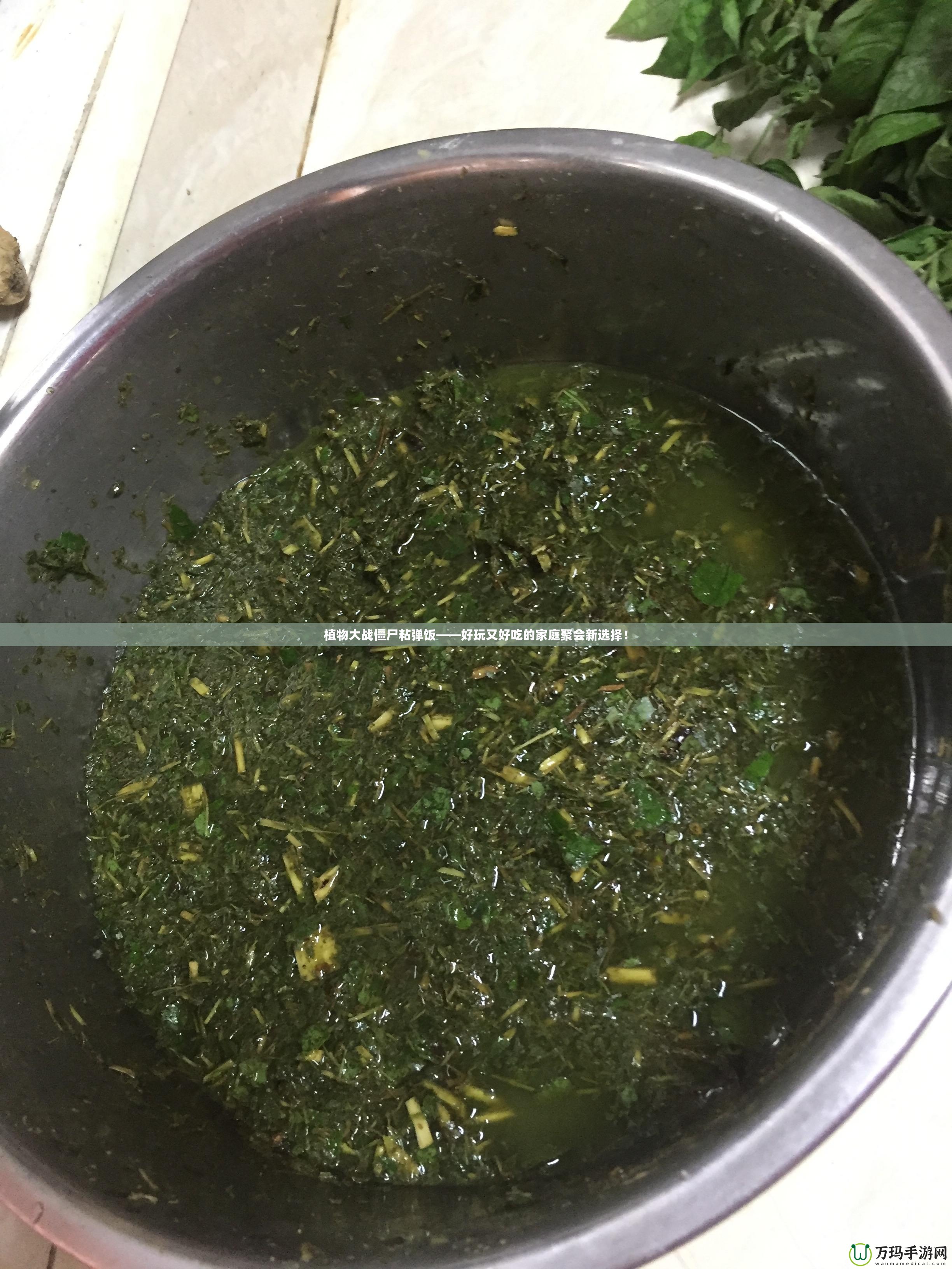 植物大戰(zhàn)僵尸粘彈飯——好玩又好吃的家庭聚會新選擇！