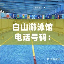 白山游泳館電話號(hào)碼：暢享健康與快樂(lè)的水上樂(lè)園