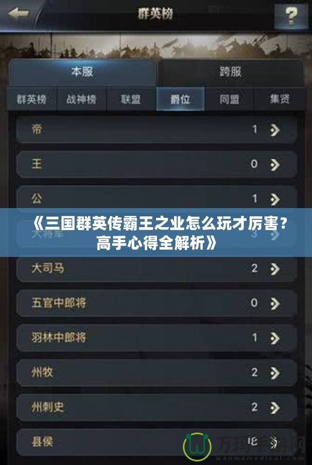 《三國(guó)群英傳霸王之業(yè)怎么玩才厲害？高手心得全解析》