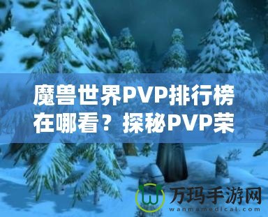 魔獸世界PVP排行榜在哪看？探秘PVP榮耀的捷徑！