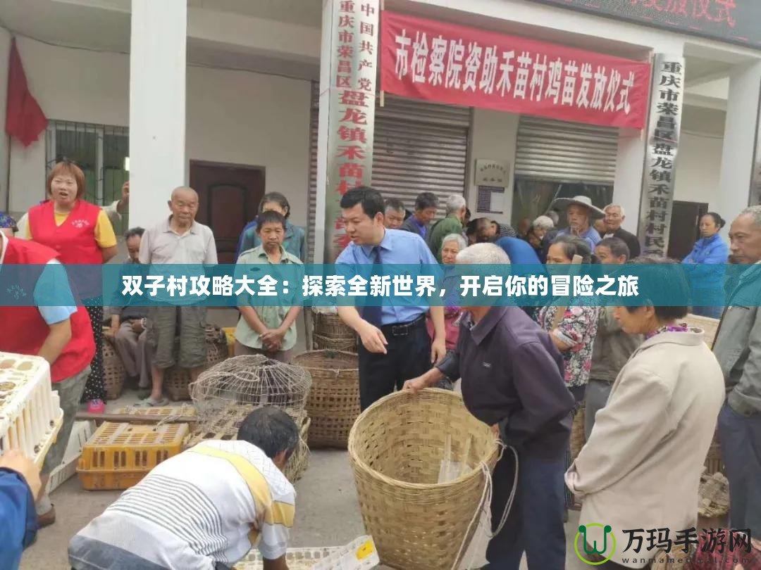 雙子村攻略大全：探索全新世界，開啟你的冒險(xiǎn)之旅