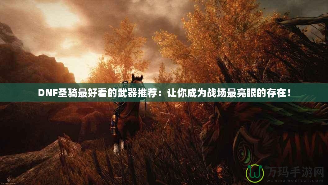 DNF圣騎最好看的武器推薦：讓你成為戰(zhàn)場(chǎng)最亮眼的存在！