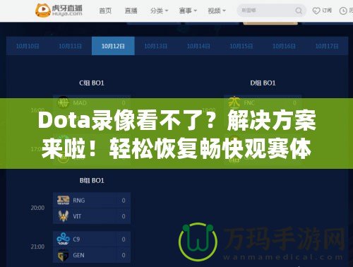 Dota錄像看不了？解決方案來啦！輕松恢復(fù)暢快觀賽體驗