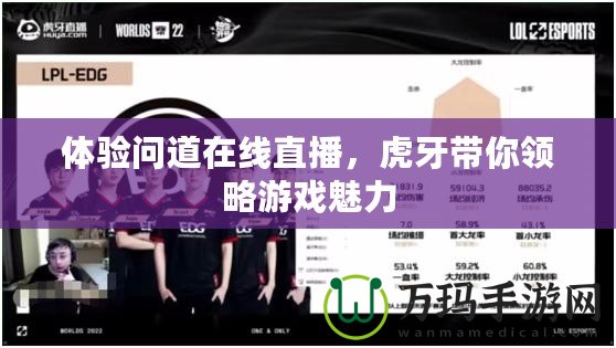 體驗問道在線直播，虎牙帶你領略游戲魅力