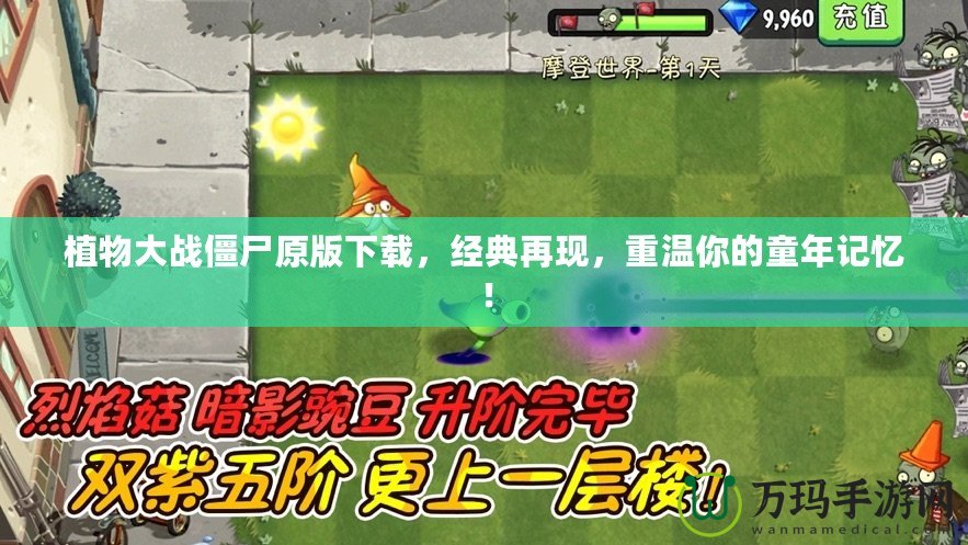 植物大戰(zhàn)僵尸原版下載，經(jīng)典再現(xiàn)，重溫你的童年記憶！