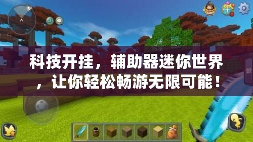 科技開(kāi)掛，輔助器迷你世界，讓你輕松暢游無(wú)限可能！