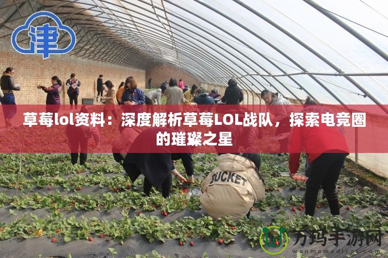 草莓lol資料:深度解析草莓LOL戰(zhàn)隊(duì),探索電競(jìng)?cè)Φ蔫仓? title=