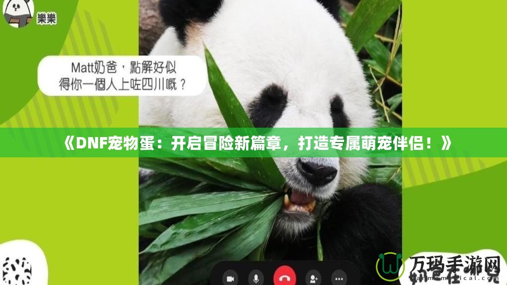 《DNF寵物蛋：開啟冒險(xiǎn)新篇章，打造專屬萌寵伴侶！》