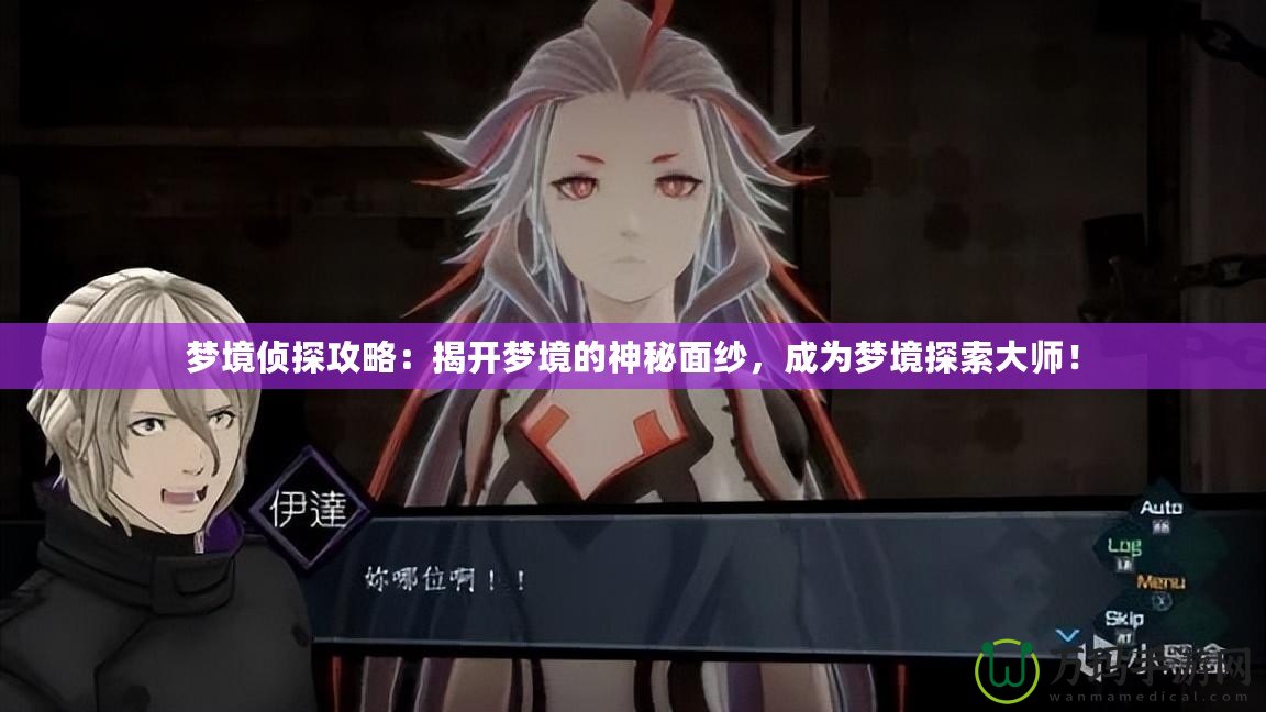 夢(mèng)境偵探攻略：揭開(kāi)夢(mèng)境的神秘面紗，成為夢(mèng)境探索大師！