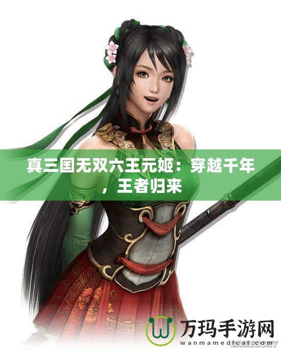 真三國(guó)無(wú)雙六王元姬：穿越千年，王者歸來(lái)