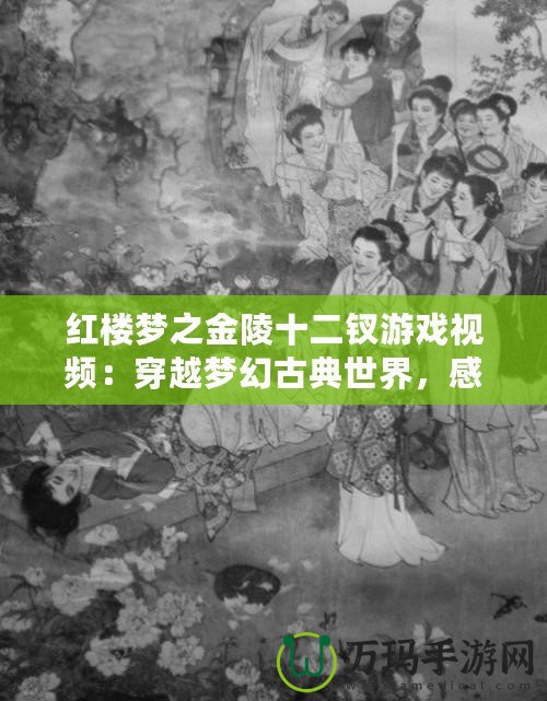 紅樓夢(mèng)之金陵十二釵游戲視頻：穿越夢(mèng)幻古典世界，感受豪門盛世