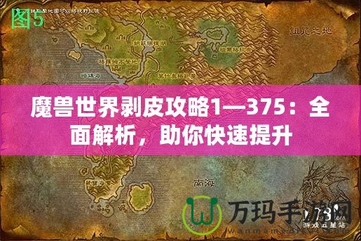魔獸世界剝皮攻略1—375：全面解析，助你快速提升