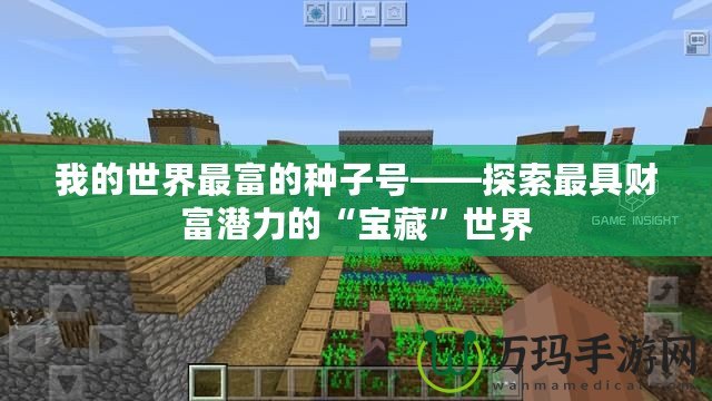 我的世界最富的種子號(hào)——探索最具財(cái)富潛力的“寶藏”世界