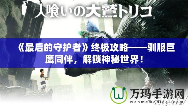 《最后的守護(hù)者》終極攻略——馴服巨鷹同伴，解鎖神秘世界！