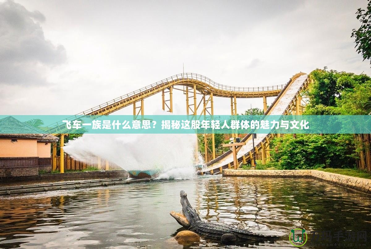 飛車(chē)一族是什么意思？揭秘這股年輕人群體的魅力與文化