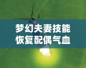 夢(mèng)幻夫妻技能恢復(fù)配偶?xì)庋蛡麆?shì)，攜手共度每個(gè)難關(guān)！