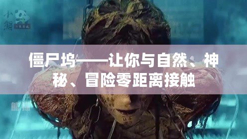 僵尸塢——讓你與自然、神秘、冒險零距離接觸