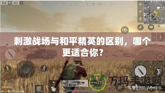 刺激戰(zhàn)場與和平精英的區(qū)別，哪個(gè)更適合你？