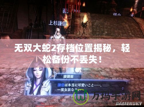 無雙大蛇2存檔位置揭秘，輕松備份不丟失！